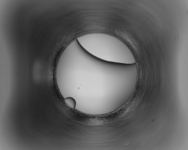 X0000099500545200805150952