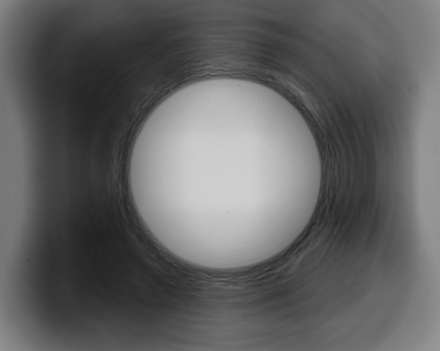 X0000099500546200805150952