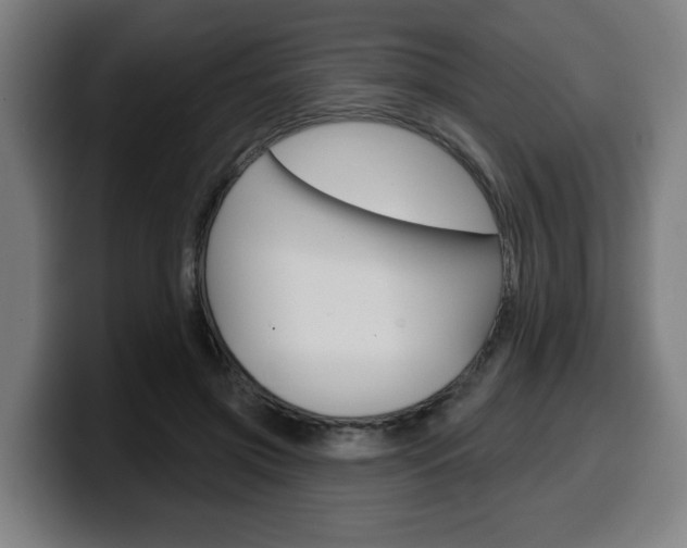 X0000099500549200805150952