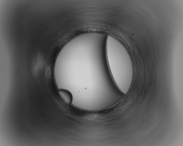 X0000099500551200805150952