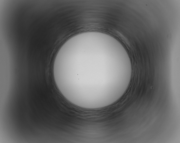 X0000099500552200805150952