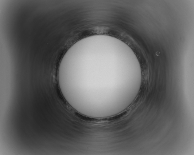 X0000099500553200805150952