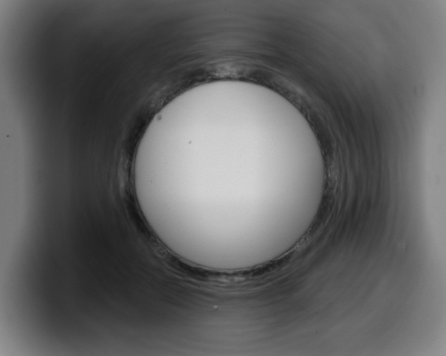 X0000099500554200805150952