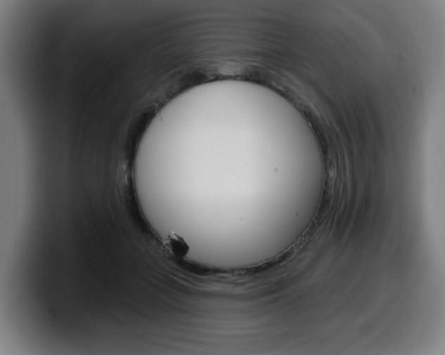 X0000099500555200805150952