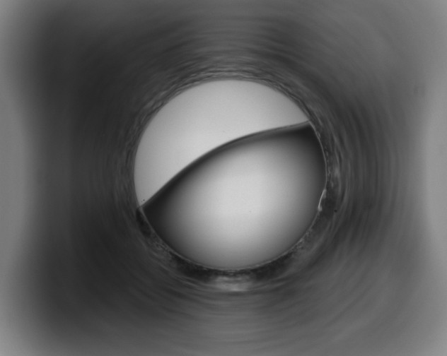 X0000099500556200805150952