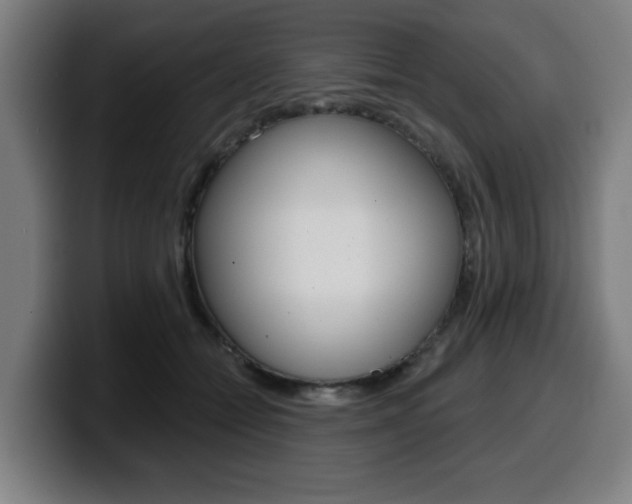 X0000099500558200805150952
