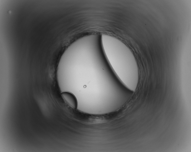 X0000099500559200805150952