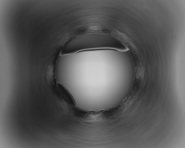 X0000099500560200805150952