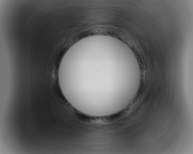 X0000099500561200805150952
