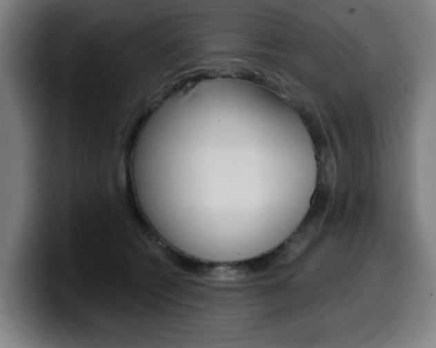 X0000099500562200805150952