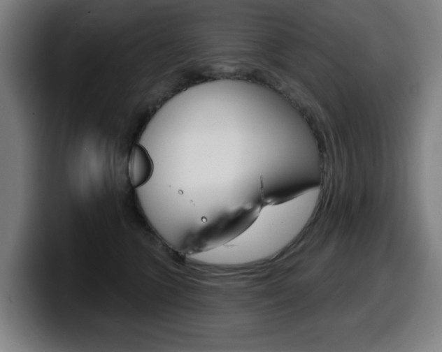 X0000099500563200805150952