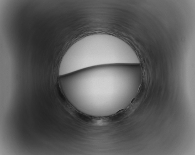 X0000099500564200805150952