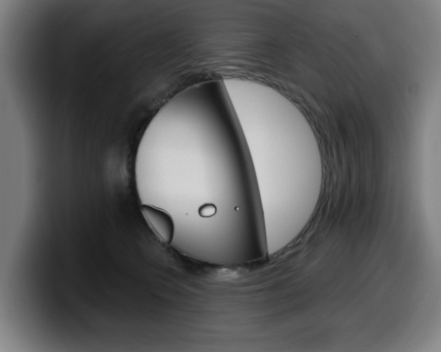 X0000099500566200805150952