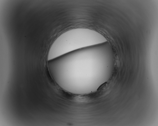 X0000099500568200805150952