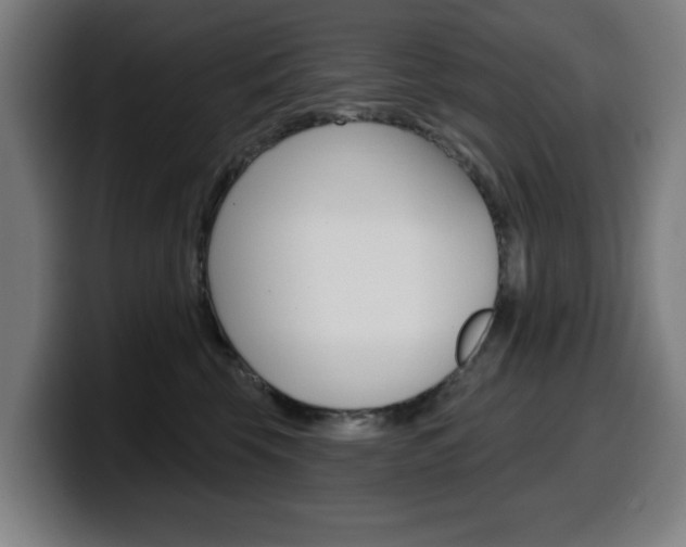 X0000099500569200805150952