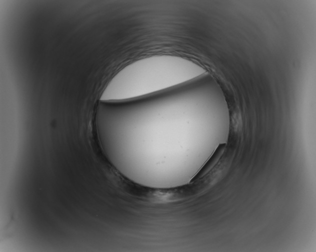 X0000099500570200805150952