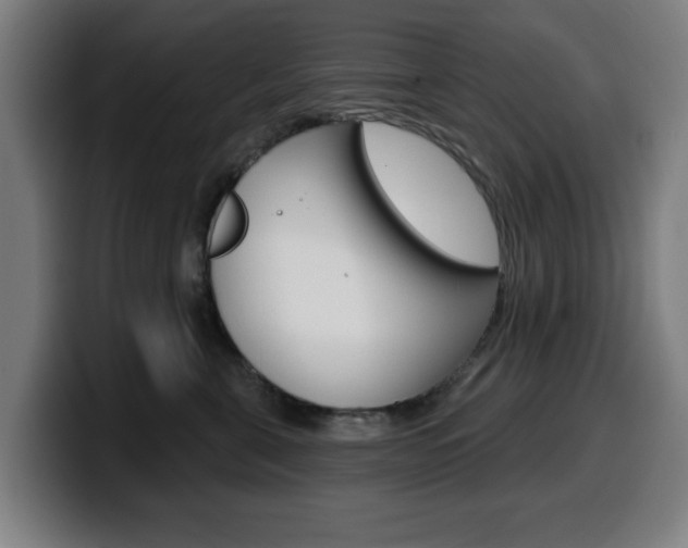 X0000099500571200805150952