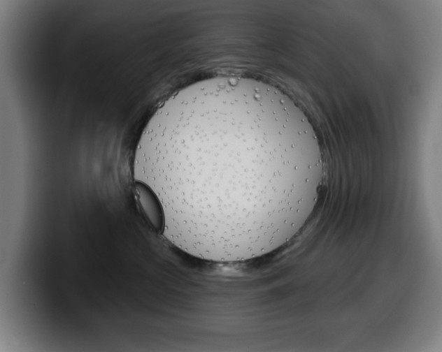 X0000099500573200805150952