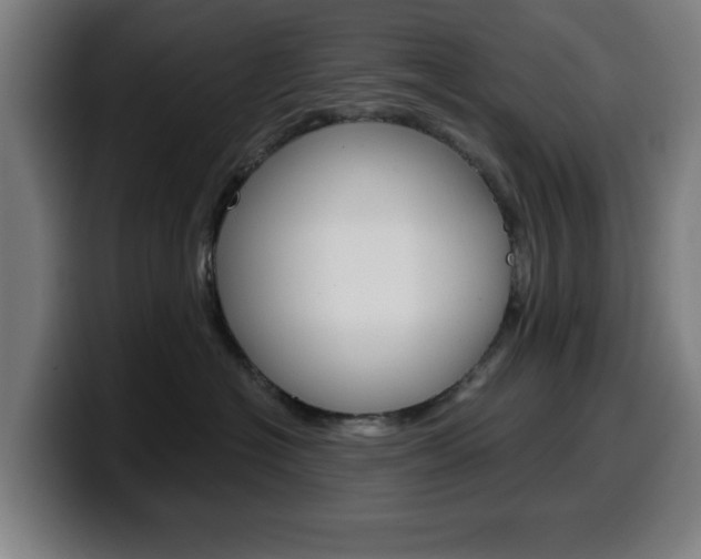 X0000099500574200805150952