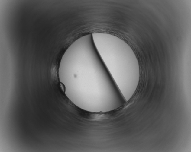 X0000099500575200805150952