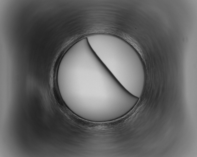 X0000099500578200805150951
