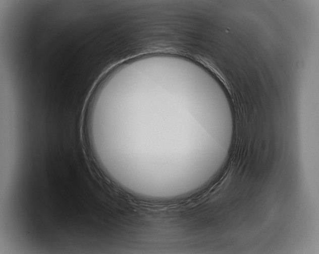 X0000099500579200805150951