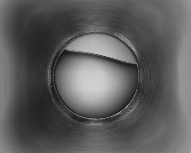 X0000099500581200805150951