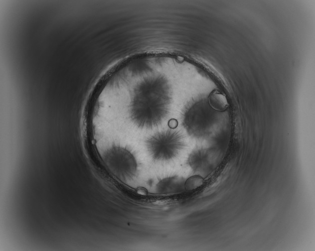 X0000099500584200805150951