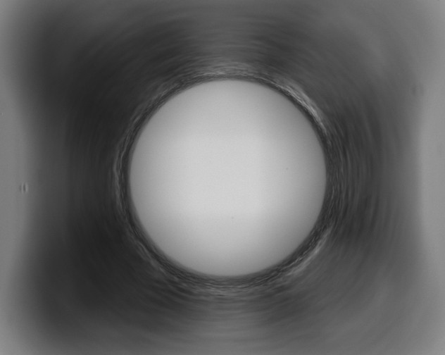X0000099500585200805150951