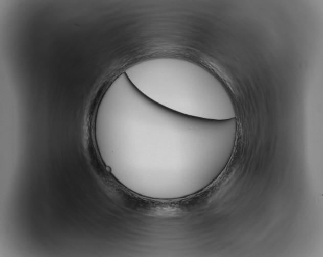 X0000099500586200805150951
