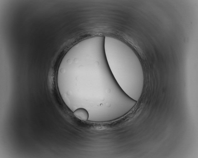 X0000099500590200805150951