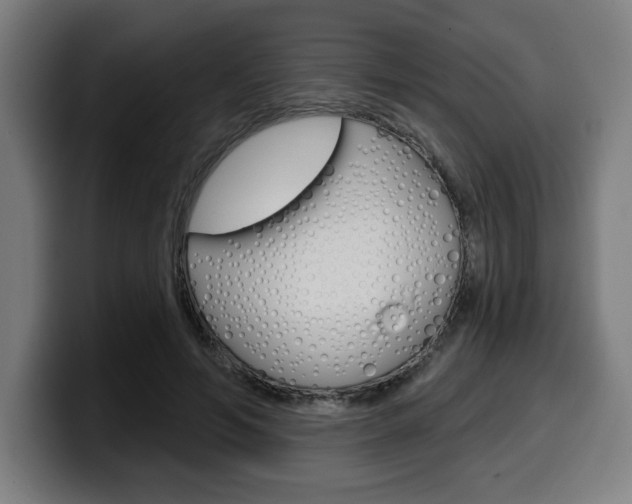 X0000099500594200805150951