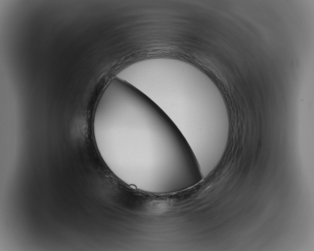 X0000099500595200805150951