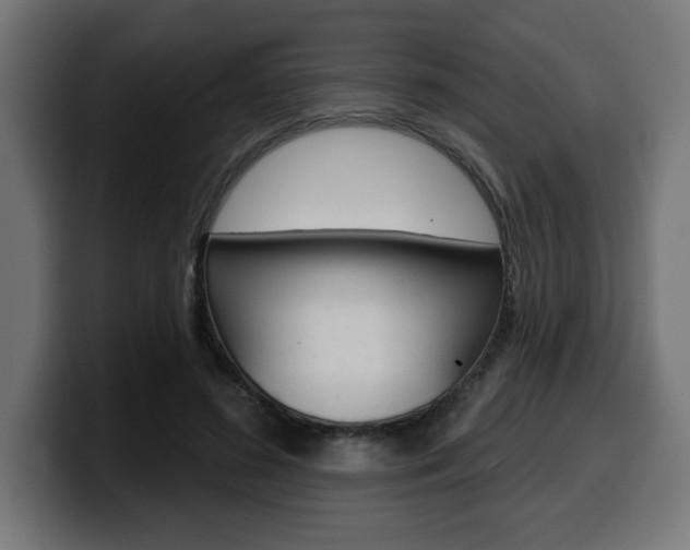 X0000099500596200805150951