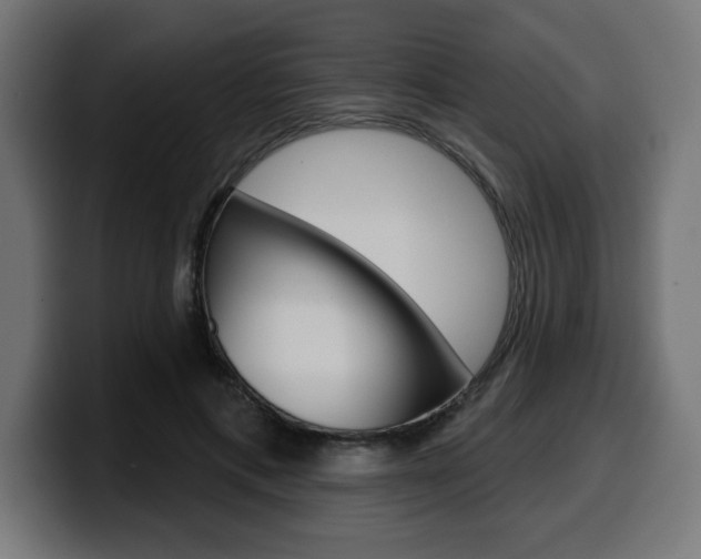 X0000099500597200805150951