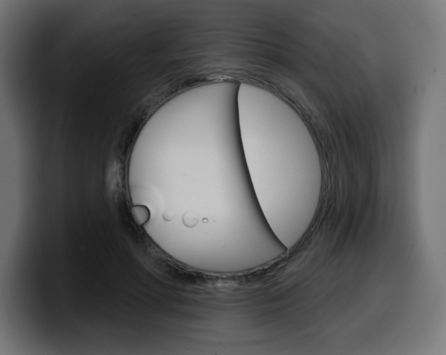 X0000099500598200805150951