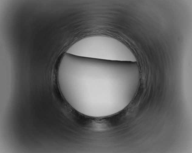 X0000099500603200805150951