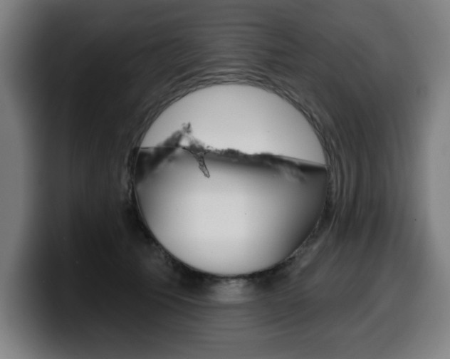 X0000099500609200805150951