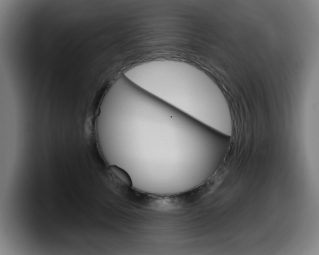 X0000099500611200805150951