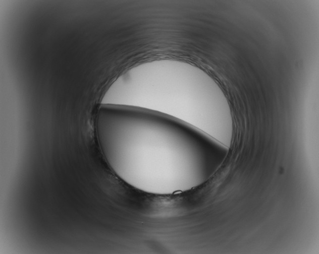 X0000099500613200805150951