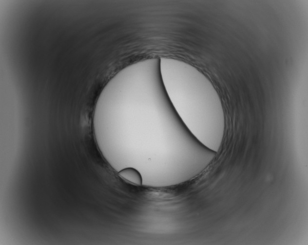 X0000099500614200805150951