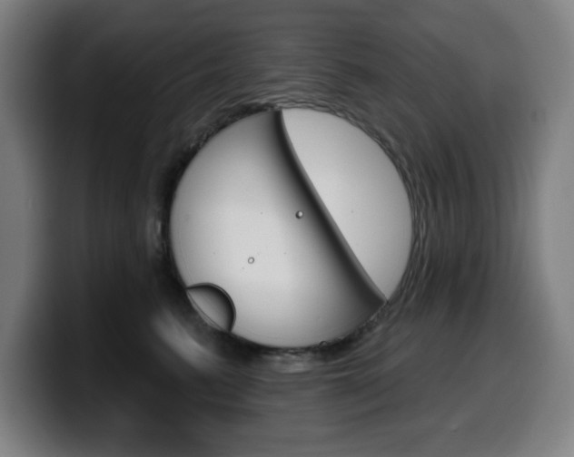 X0000099500615200805150951