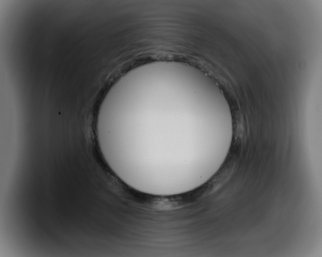 X0000099500616200805150951
