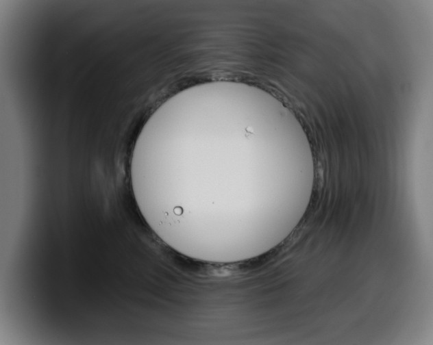 X0000099500618200805150951