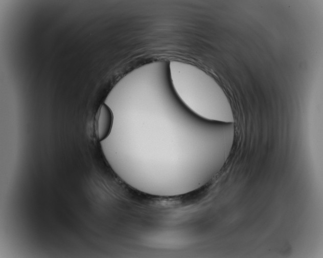 X0000099500619200805150951