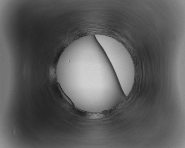 X0000099500621200805150951