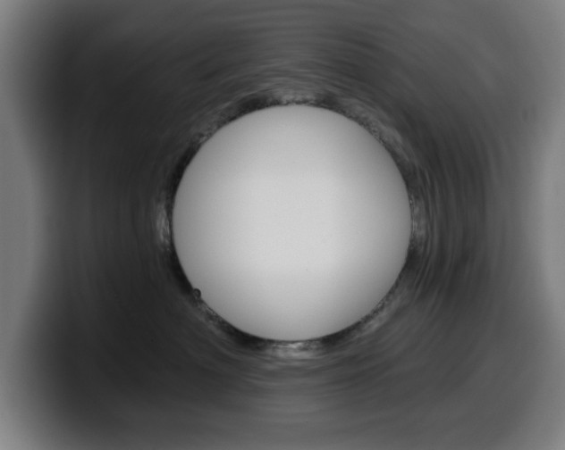 X0000099500622200805150951