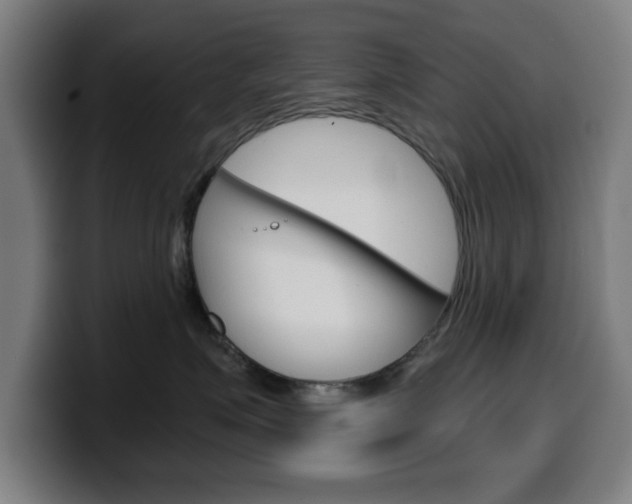 X0000099500623200805150951