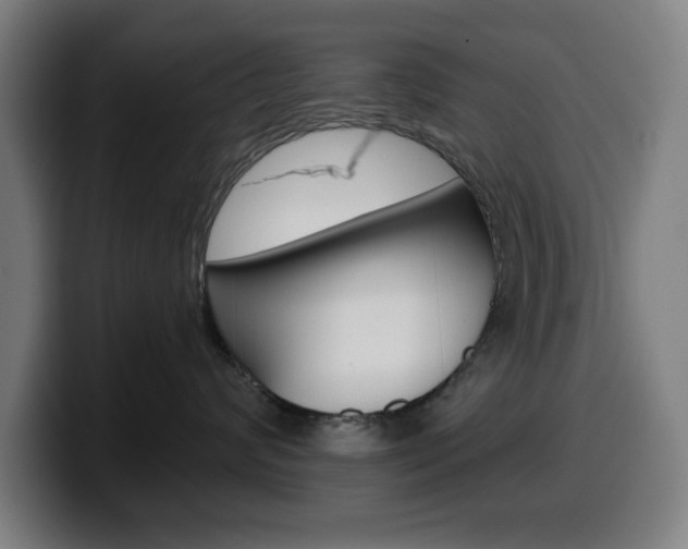 X0000099500624200805150951