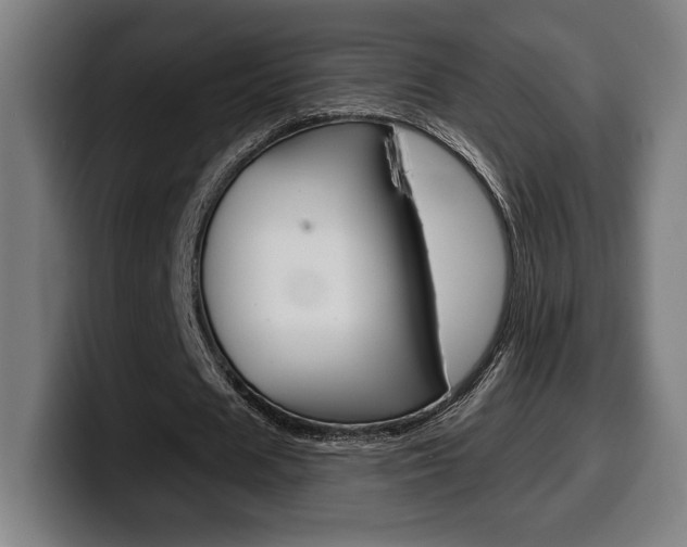 X0000099500625200805150950